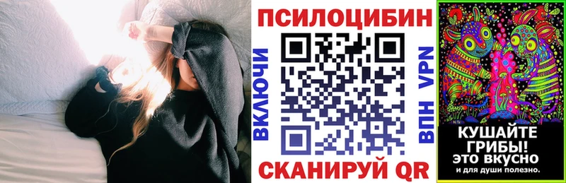купить наркотики цена  Поворино  OMG вход  Галлюциногенные грибы мицелий 